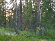 Outdoor Bondage with Diaper and Vibrator 16/16