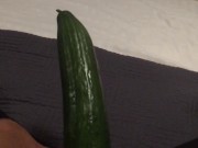 Fucking my tiny pussy with a huge cucumber and squirting everywhere while wearing ripped pantyhose 10/16