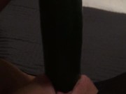 Fucking my tiny pussy with a huge cucumber and squirting everywhere while wearing ripped pantyhose 11/16