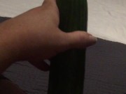 Fucking my tiny pussy with a huge cucumber and squirting everywhere while wearing ripped pantyhose 3/16