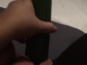 Fucking my tiny pussy with a huge cucumber and squirting everywhere while wearing ripped pantyhose 9/16