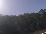 USED HER LIKE A PUSSY POCKET IN A FOREST 1/16