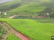 Jasmine J - Windy Hill 6/16