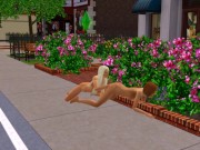 The blonde fucked all her girlfriends. Lesbian porn | porn games 10/16