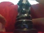 Prince charming conquest 1/16