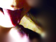 FATGUY HOT GIRL Japanese/Thai Blowjob for Fun after School สาวน่ารัก ญี่ปุ่นไทย ยอม อมควย ไอ้อ้วน 15/16