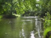 Sensual Public Masturbation in Park - TRAILER 4/16