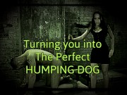 Turning you into the perfect humping dog 13/16