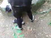 Public park sneaky breakfast oral nature cam 3/16