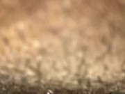 HD EBONY WET BLACK PUSSY 13/16