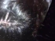 Chubby milf sucking bbc  4/16