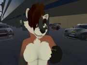 Furry Sex - Balls and Cars 13/16
