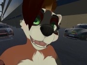 Furry Sex - Balls and Cars 14/16