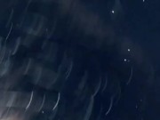 La reine de la suce en action 11/16