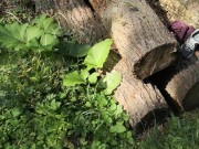 Schamlippen und Titten auspeitschen direkt an der Strasse 1/16