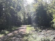 Schamlippen und Titten auspeitschen direkt an der Strasse 13/16