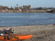 SUPER HOT Micro Bikini Filipina Bikini Girl At The Beach  3/16