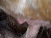 Sucking daddy's dick at the park!! 8/16