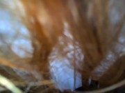 TINDER BITCH GAVE ME HER PUSSY AT THE FIRST DATE 2/16