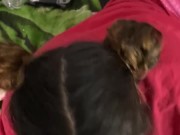 Daddys little whore  10/16