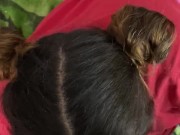 Daddys little whore  11/16