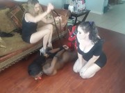 Misters Hazing 12/16