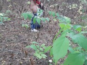  one girl pissed in the forest and how the second girl gave her cunnilingus 9/16