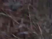 Mandy Fucks in Public Wetlands 2/16