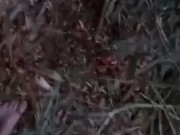 Mandy Fucks in Public Wetlands 4/16