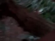 Mandy Fucks in Public Wetlands 9/16