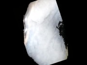 The Drench: Sperm Pool - 'Get Her Pregnant' Motivational Series 1 2/16