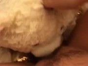 TEDDY BEAR LICKS MY PUSSY TO ORGASM! 10/16