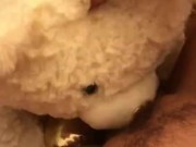 TEDDY BEAR LICKS MY PUSSY TO ORGASM! 12/16