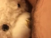 TEDDY BEAR LICKS MY PUSSY TO ORGASM! 15/16