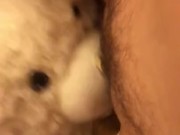 TEDDY BEAR LICKS MY PUSSY TO ORGASM! 16/16