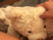 TEDDY BEAR LICKS MY PUSSY TO ORGASM! 6/16