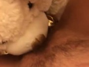 TEDDY BEAR LICKS MY PUSSY TO ORGASM! 7/16