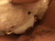 TEDDY BEAR LICKS MY PUSSY TO ORGASM! 8/16