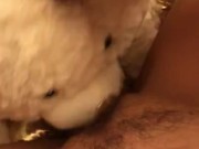 TEDDY BEAR LICKS MY PUSSY TO ORGASM! 9/16