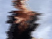 Jizz on my Titties - a typical topless hike in the woods  16/16