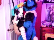 Piperthebun gets breed by Sucario on a Doorswing 11/16