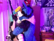 Piperthebun gets breed by Sucario on a Doorswing 15/16