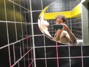 Covid Party Toilet sex, hottest cum in mouth! 10/16