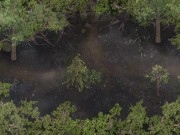 Lust epidemic - (PT 31) - Nun's becoming a slut 4/16