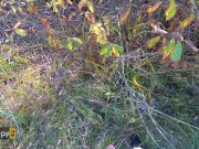 Red devil sucked all the cum from the guy 1/16