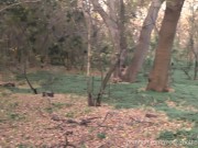 Halloween 2020 - Bone-sucker lures into the forest for get cum (HD 60fps Teaser) 8/16