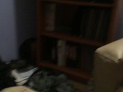 Hailey Tanner Teniendo sexo en su cuarto 2/16