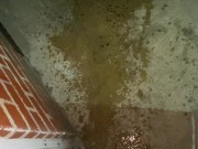 Naughty Slut is too lazy to use the bathroom and opens up the door and pisses outside! 13/16