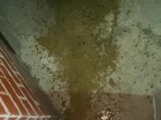 Naughty Slut is too lazy to use the bathroom and opens up the door and pisses outside! 16/16