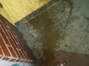 Naughty Slut is too lazy to use the bathroom and opens up the door and pisses outside! 9/16